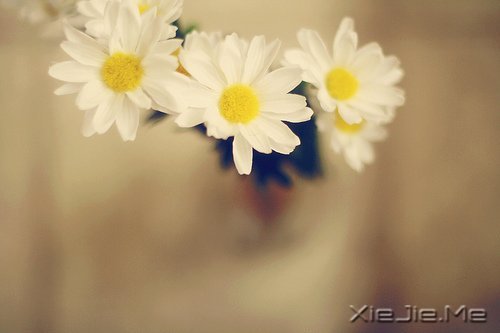 һ��һ�⣬������������������� (9)