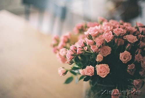 �����������ܿ�����ʵ���Լ� (4)
