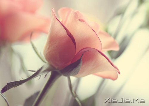ĬȻ�మ���ž�ϲ�� (3)
