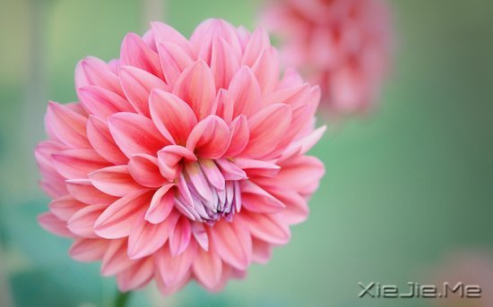 ���֣�Ҫ������ʮ���� (4)