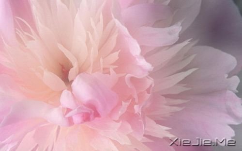 һ��Ů����д�Ļ����� (2)